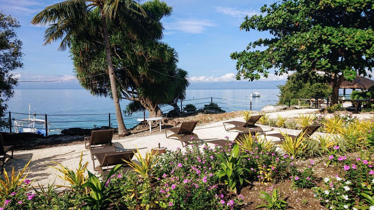 מואלבואל Cebu Seaview Dive Resort מראה חיצוני תמונה